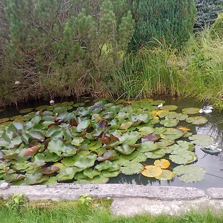 Prázdninový dům Wczasy Rodem Z Prl - , Zachodniopomorskie Dominikowo