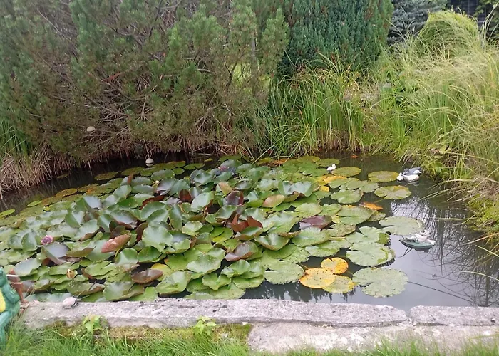 Дом отдыха Wczasy Rodem Z Prl - , Zachodniopomorskie Dominikowo